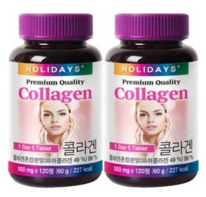 홀리데이즈 프리미엄 저분자 피쉬콜라겐